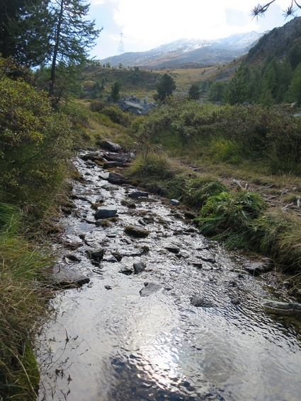 c0212604_20543532.jpg
