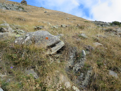 c0212604_21155920.jpg