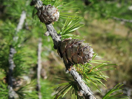 c0212604_2155257.jpg