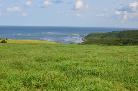 c0336907_21281199.jpg