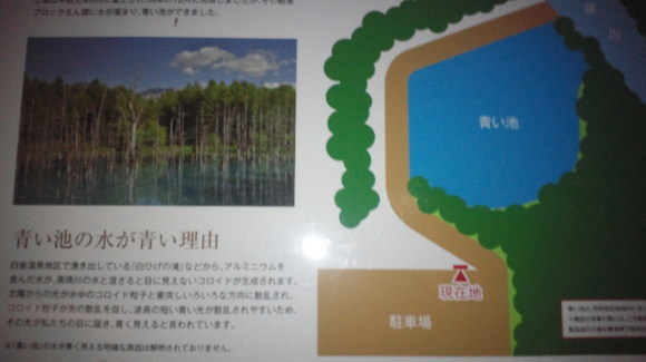 c0336907_21341168.jpg