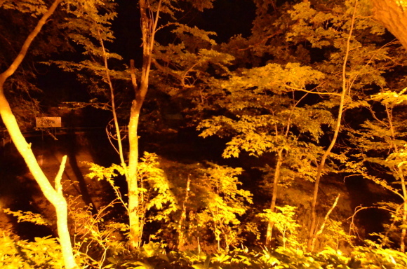 c0336907_21343658.jpg