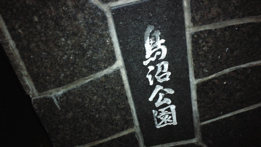 c0336907_21352077.jpg