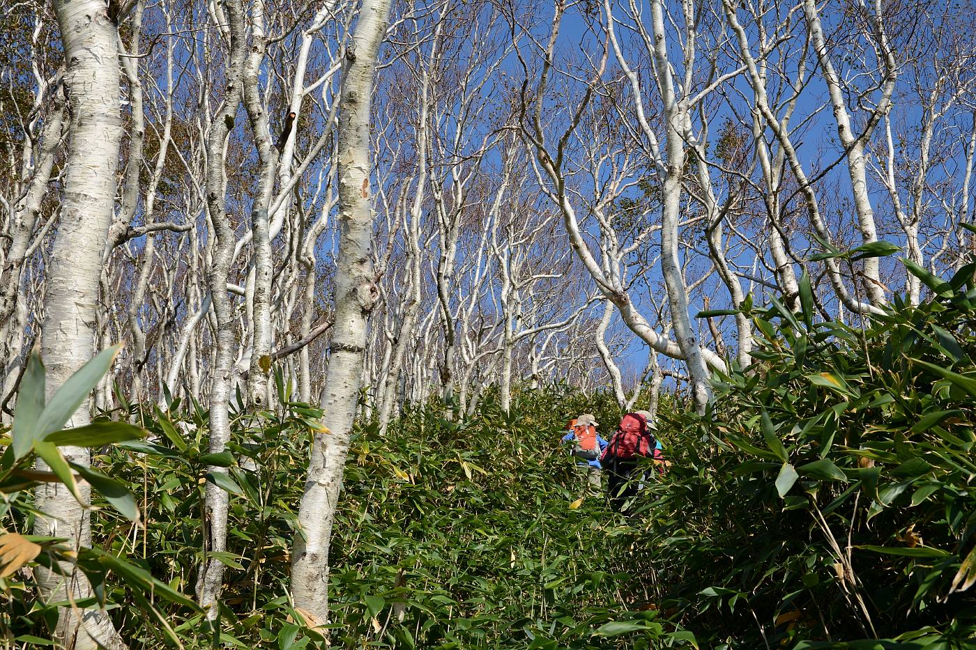 a0248508_1321060.jpg