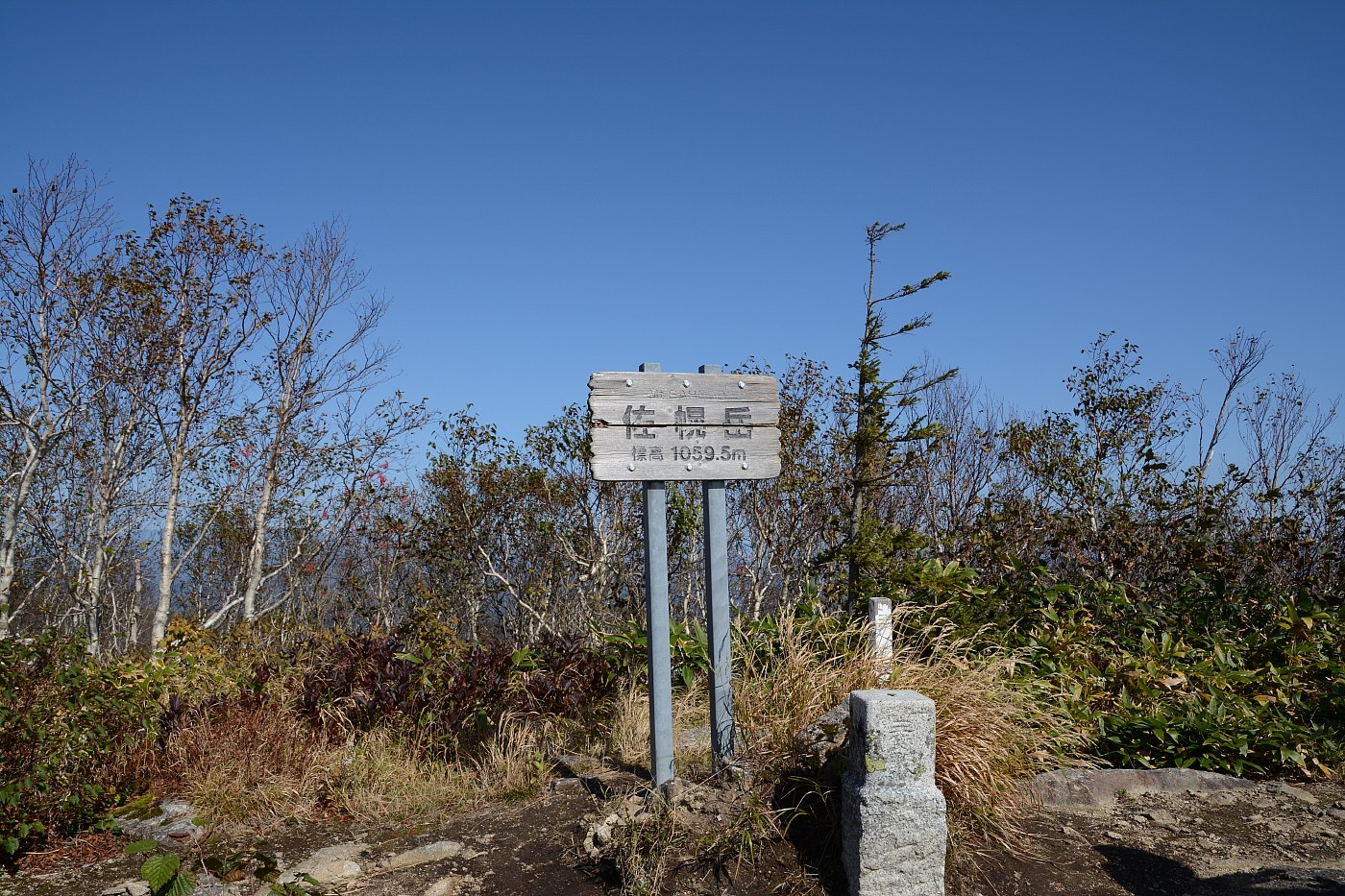 佐幌岳1059ｍ✮心地よい稜線歩き✮2016.10.2_a0248508_1352783.jpg