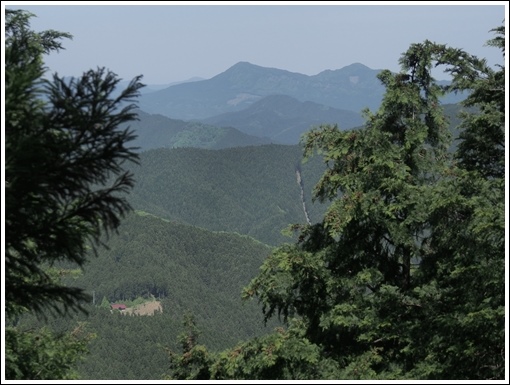 2015/05/17　三峰山探索、、、不動谷より_f0052108_17133212.jpg