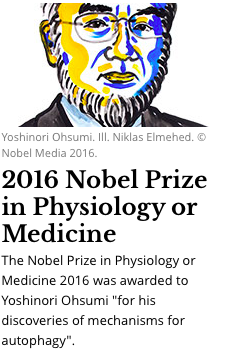 今年のノーベル生理医学賞は？：「大隅良典教授のオートファジーに決定！」おめでとうございます！_a0348309_1842733.png