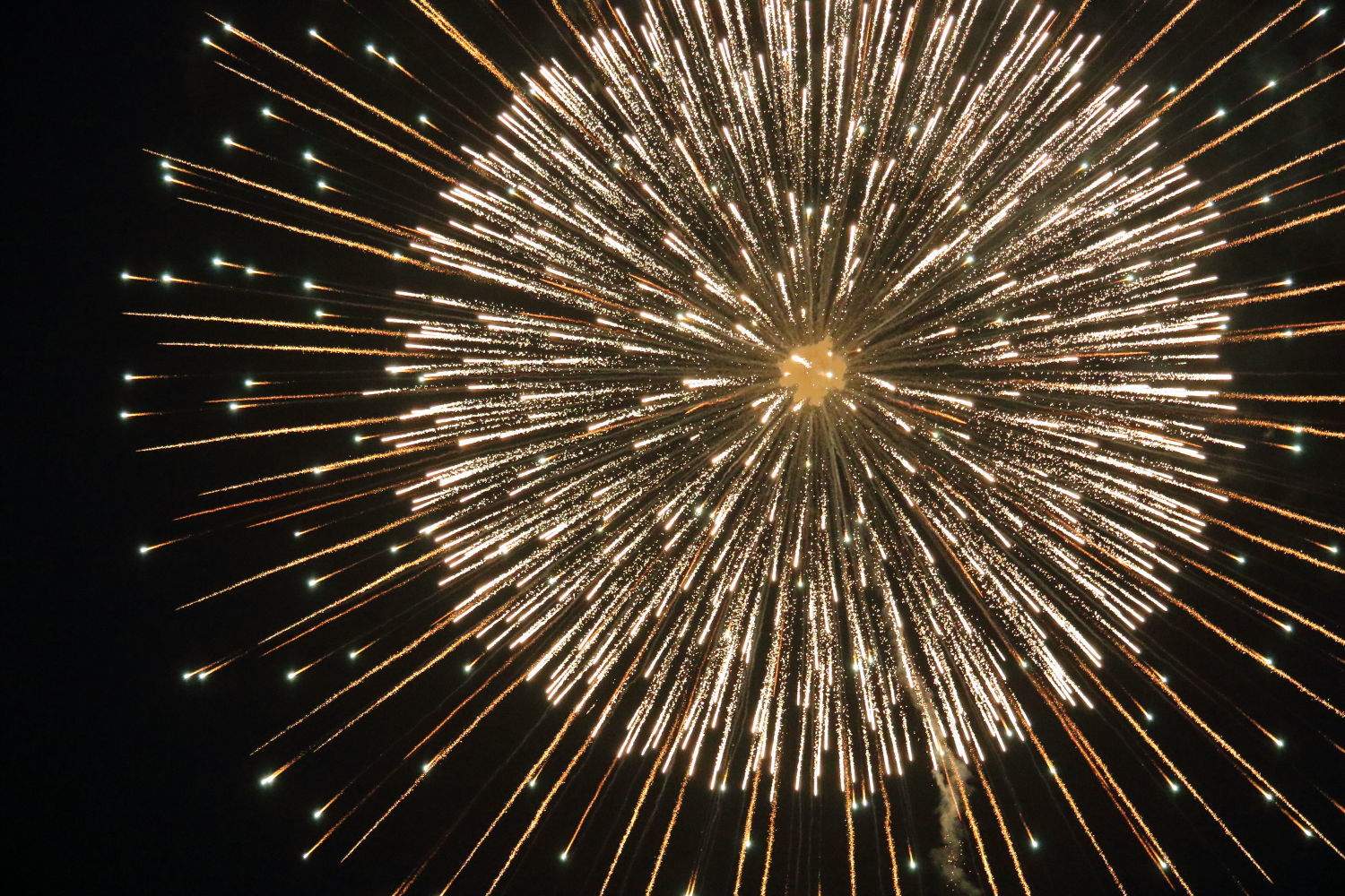 f0349409_08020681.jpg