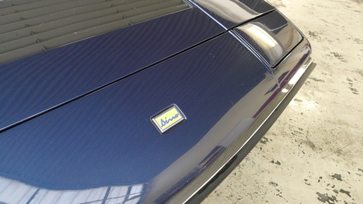 Dino308gt4 の初期モデルと後期モデルの違い_a0129711_1059956.jpg