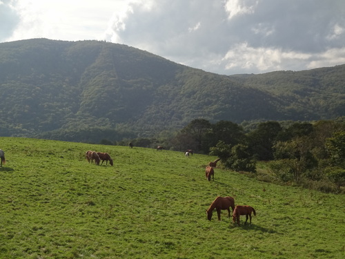 c0279611_21203477.jpg
