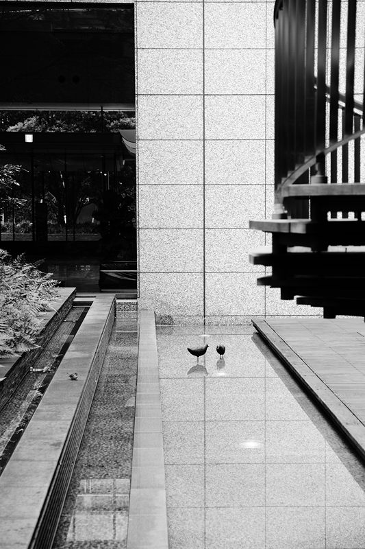 f0032011_19343234.jpg