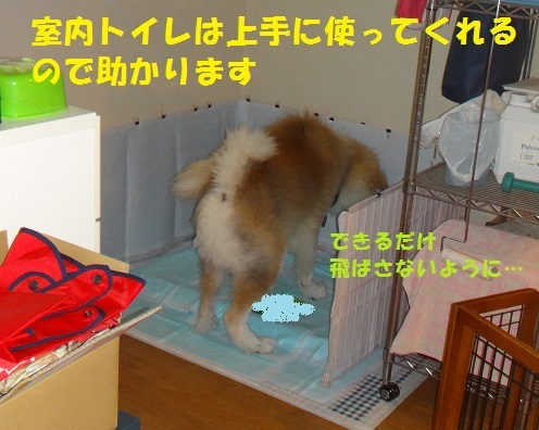 f0121712_08005582.jpg