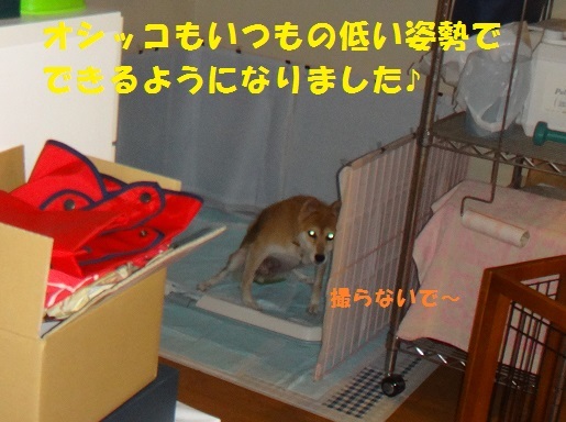 f0121712_08211451.jpg