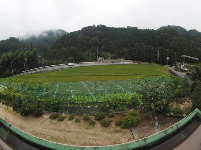 一日雨_c0116915_022029.jpg