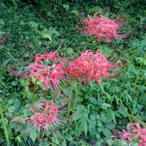 c0145016_2143302.jpg