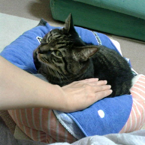 c0145016_21433167.jpg