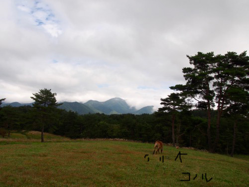 e0192217_08414426.jpg