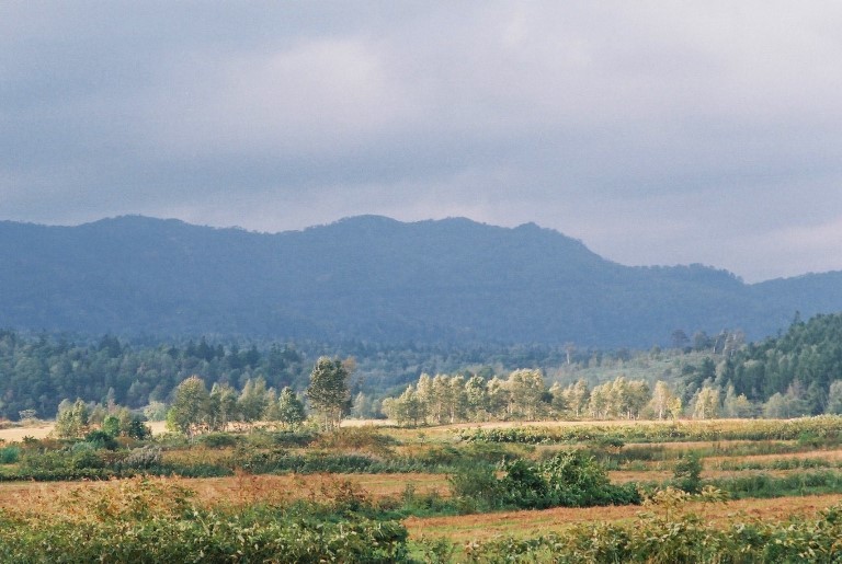 f0362725_15405272.jpg