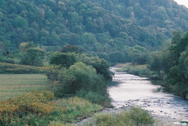 f0362725_15411211.jpg