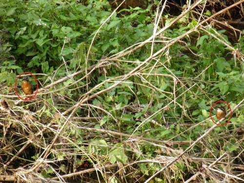 c0338136_14102895.jpg