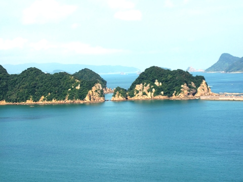 c0051938_17241726.jpg