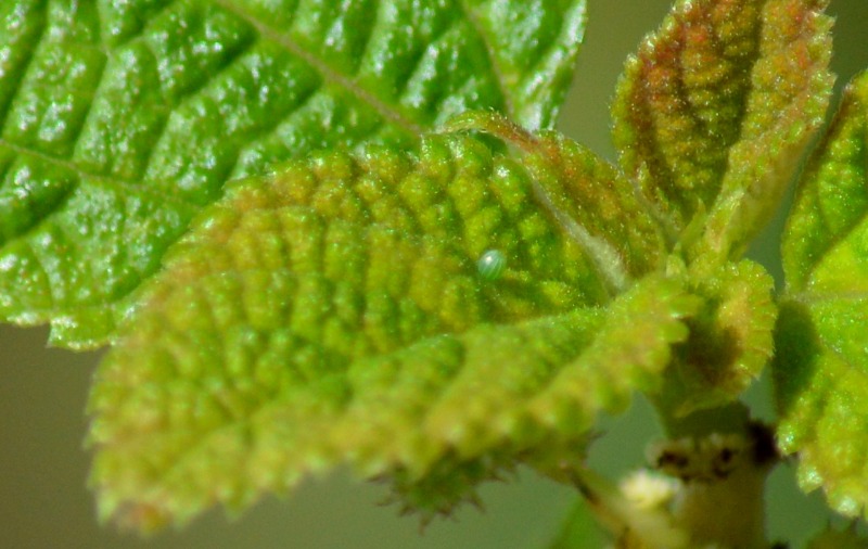 d0254540_23394939.jpg