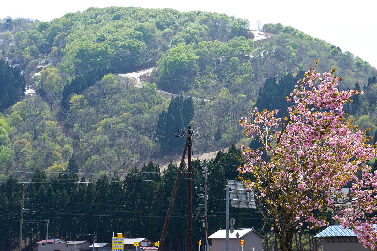 f0377241_14065526.jpg