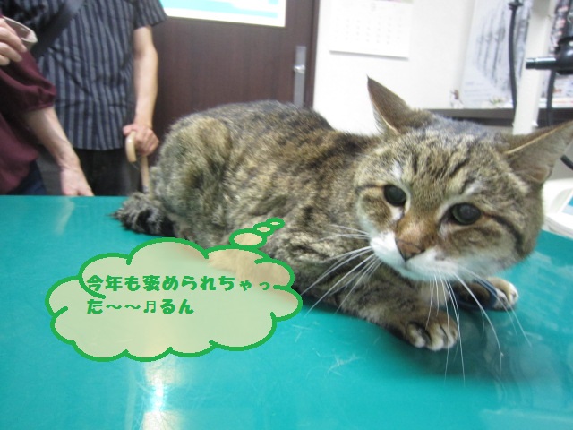 【22歳なのに優秀な血液検査結果】_b0059154_1747194.jpg