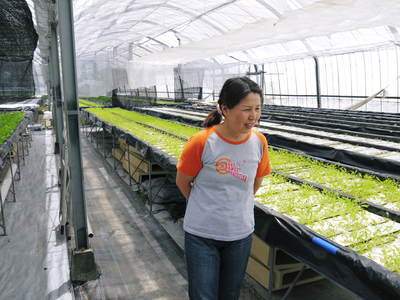 水耕栽培 無農薬で育てた朝採り新鮮野菜大好評発売中!美味しい生野菜食べてますか?_a0254656_2043823.jpg