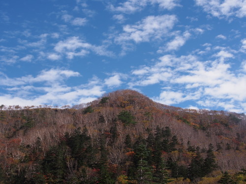 b0335256_21461575.jpg