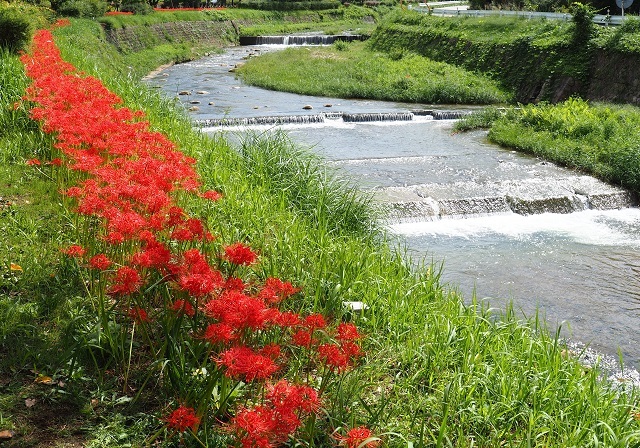 c0357659_00140852.jpg