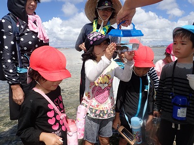 c0180460_17364026.jpg