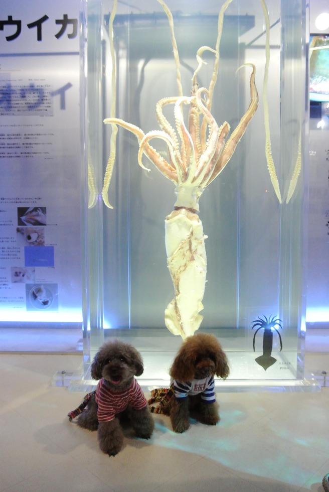 d0160960_18558.jpg