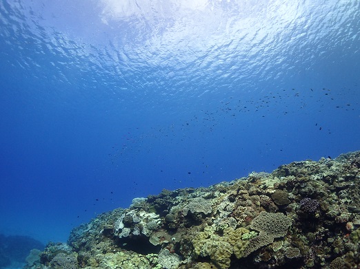 e0132965_22493039.jpg