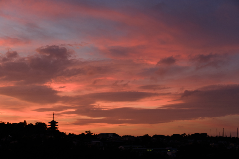 b0368075_07571498.jpg