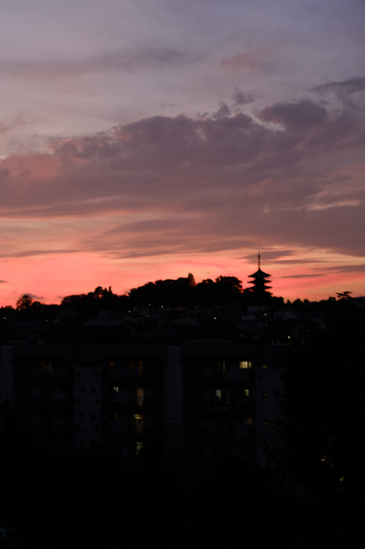 b0368075_07595854.jpg