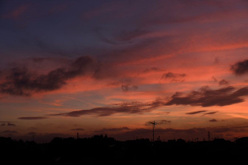 b0368075_08083157.jpg