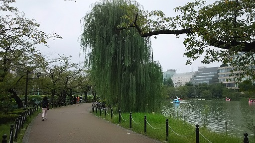 e0020682_1412479.jpg