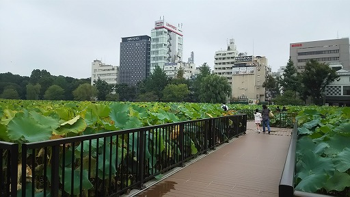 e0020682_14152595.jpg