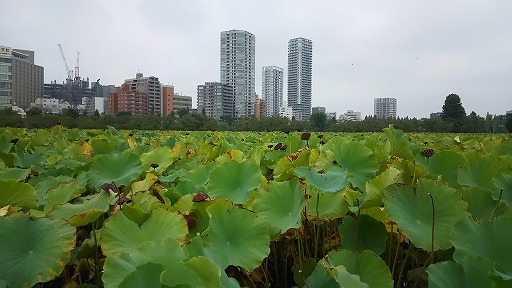 e0020682_14161542.jpg