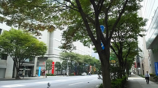 e0020682_14261072.jpg