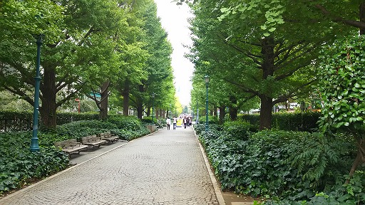 e0020682_14294631.jpg