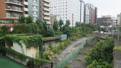 e0020682_14561019.jpg