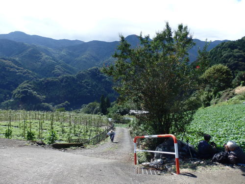 b0334084_23133073.jpg
