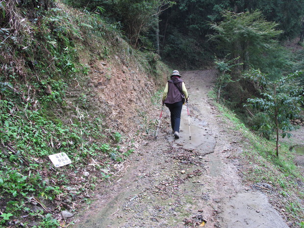 a0166196_16482683.jpg