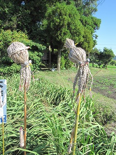 ２０１６三池街道せたか道（太神の神々）・千寿の楽しい歴史_a0137997_8411931.jpg