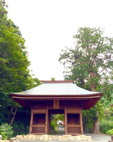 愛知県「普門寺」「二川伏見稲荷」_c0313998_22415776.jpeg