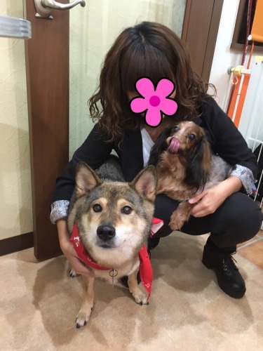 ～保護犬預かり日記～_d0269898_18513876.jpg