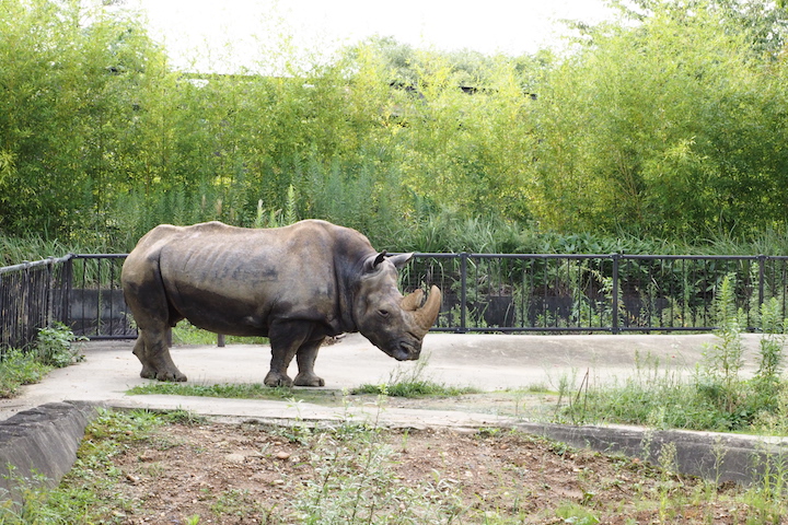 またまた昭和記念公園_b0016600_845289.jpg