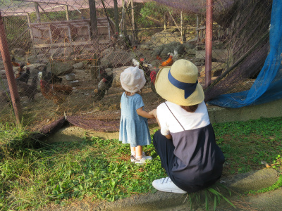 c0125501_23441462.jpg